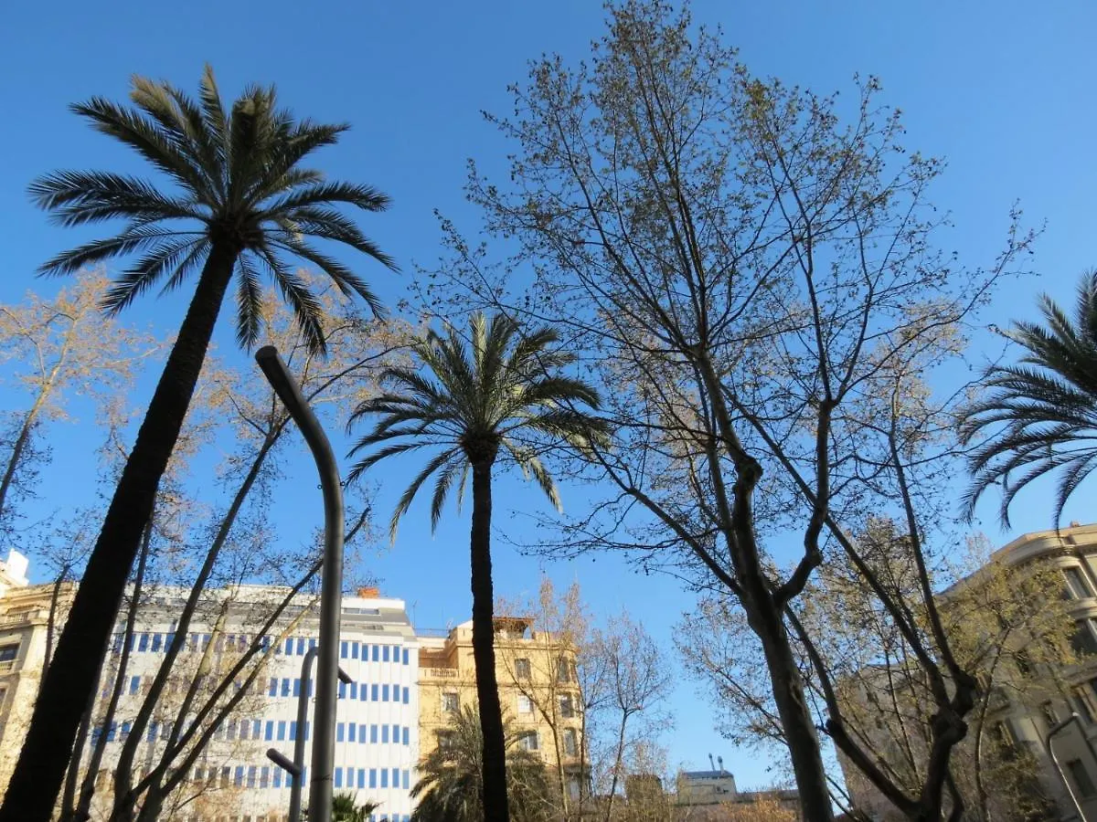 Hostal Petit Princep Barcellona Affittacamere
